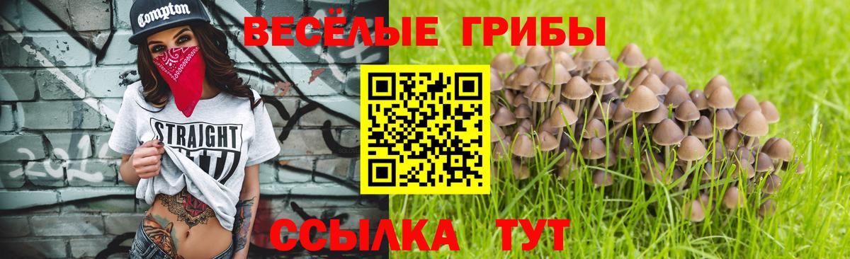 Галлюциногенные грибы Magic Shrooms  Псилоцибиновые грибы Psilocybine cubensis  Вход с VPN  Воткинск 