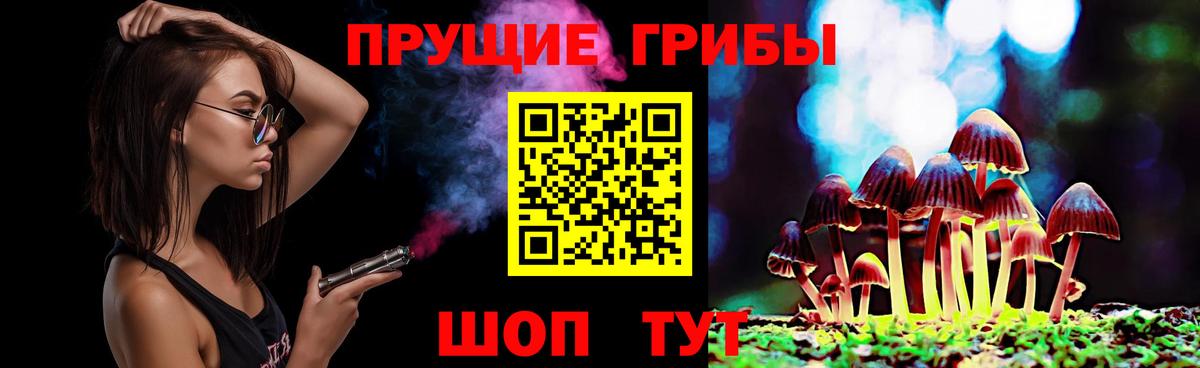 Псилоцибиновые грибы Psilocybe Воткинск